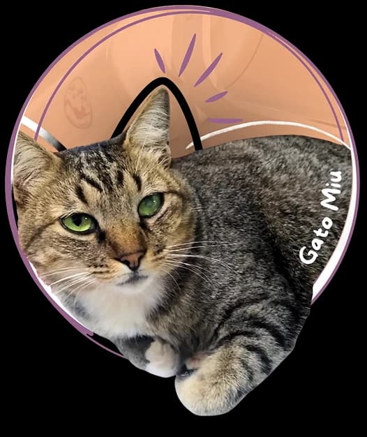 Pulo do Gato Pet - Nossa empresa